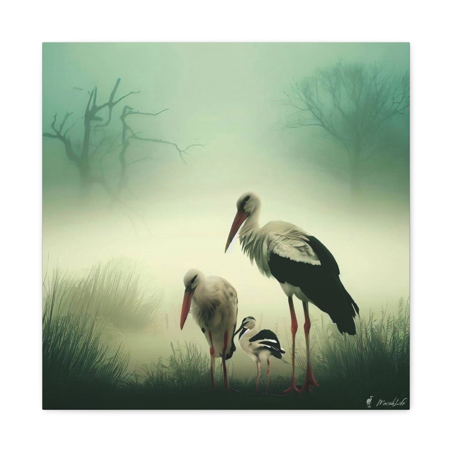 Stork Family - Canvas Gallery Wraps