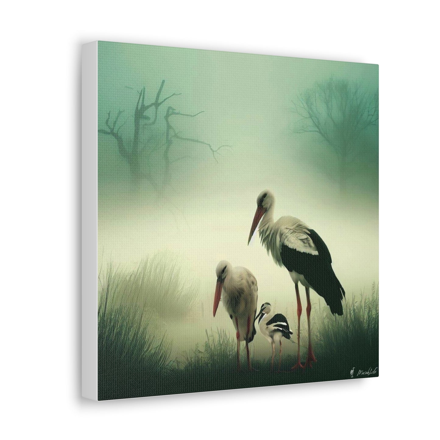 Stork Family - Canvas Gallery Wraps