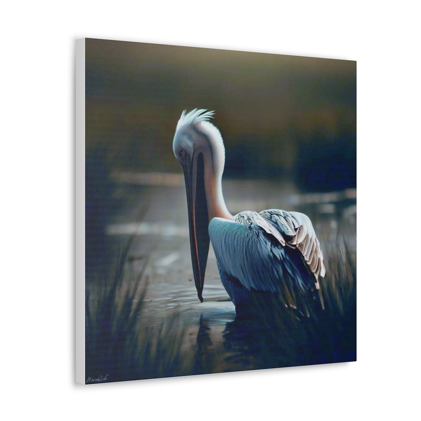 Pelican Dreams - Canvas Gallery Wraps