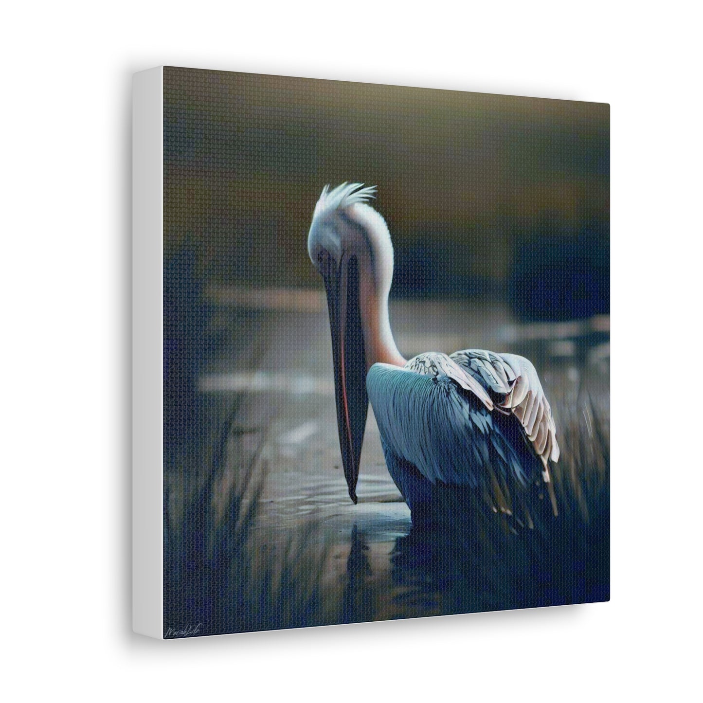 Pelican Dreams - Canvas Gallery Wraps