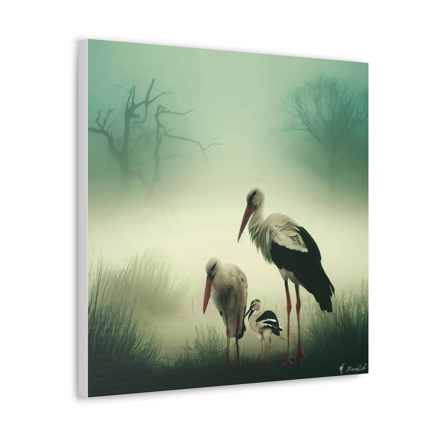 Stork Family - Canvas Gallery Wraps