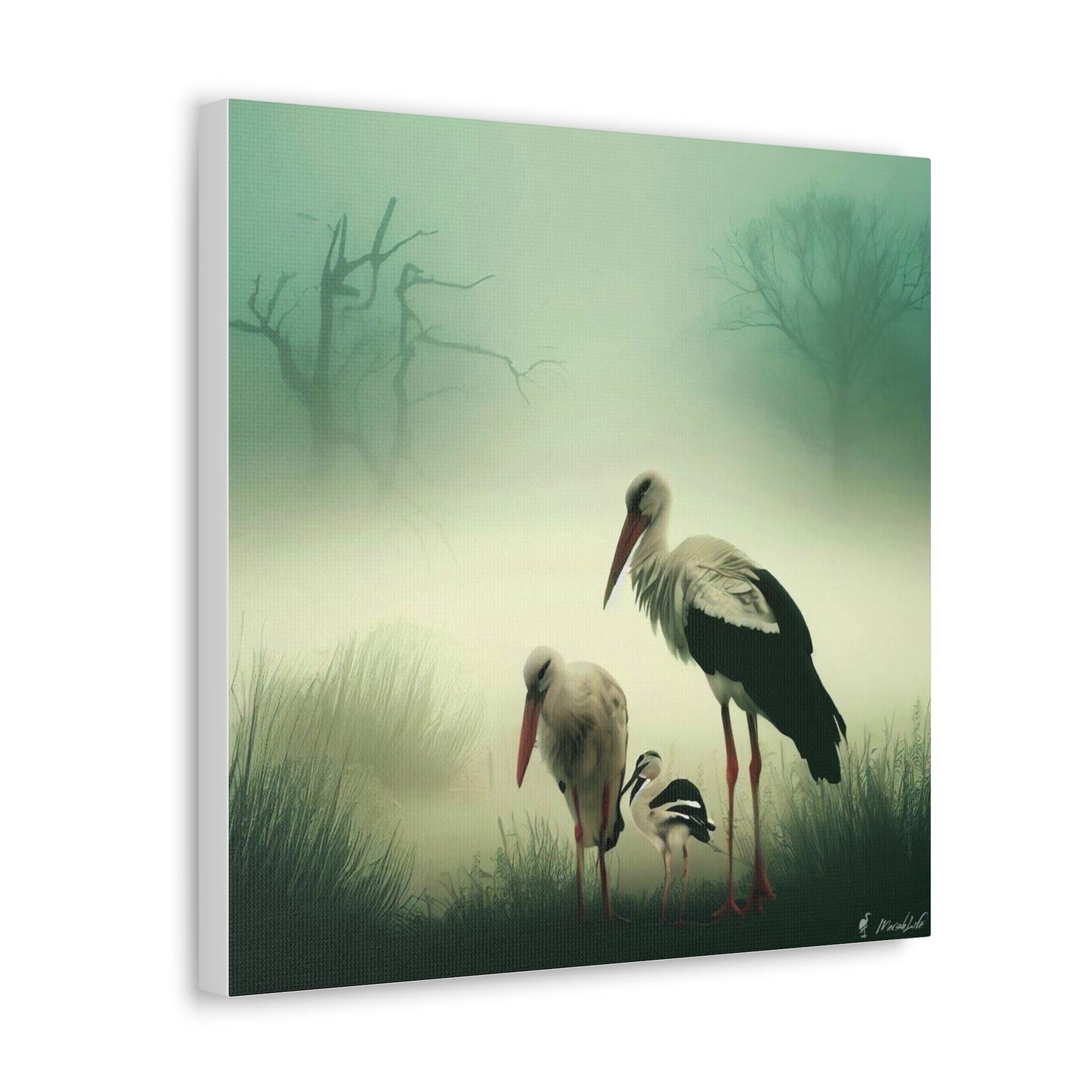 Stork Family - Canvas Gallery Wraps