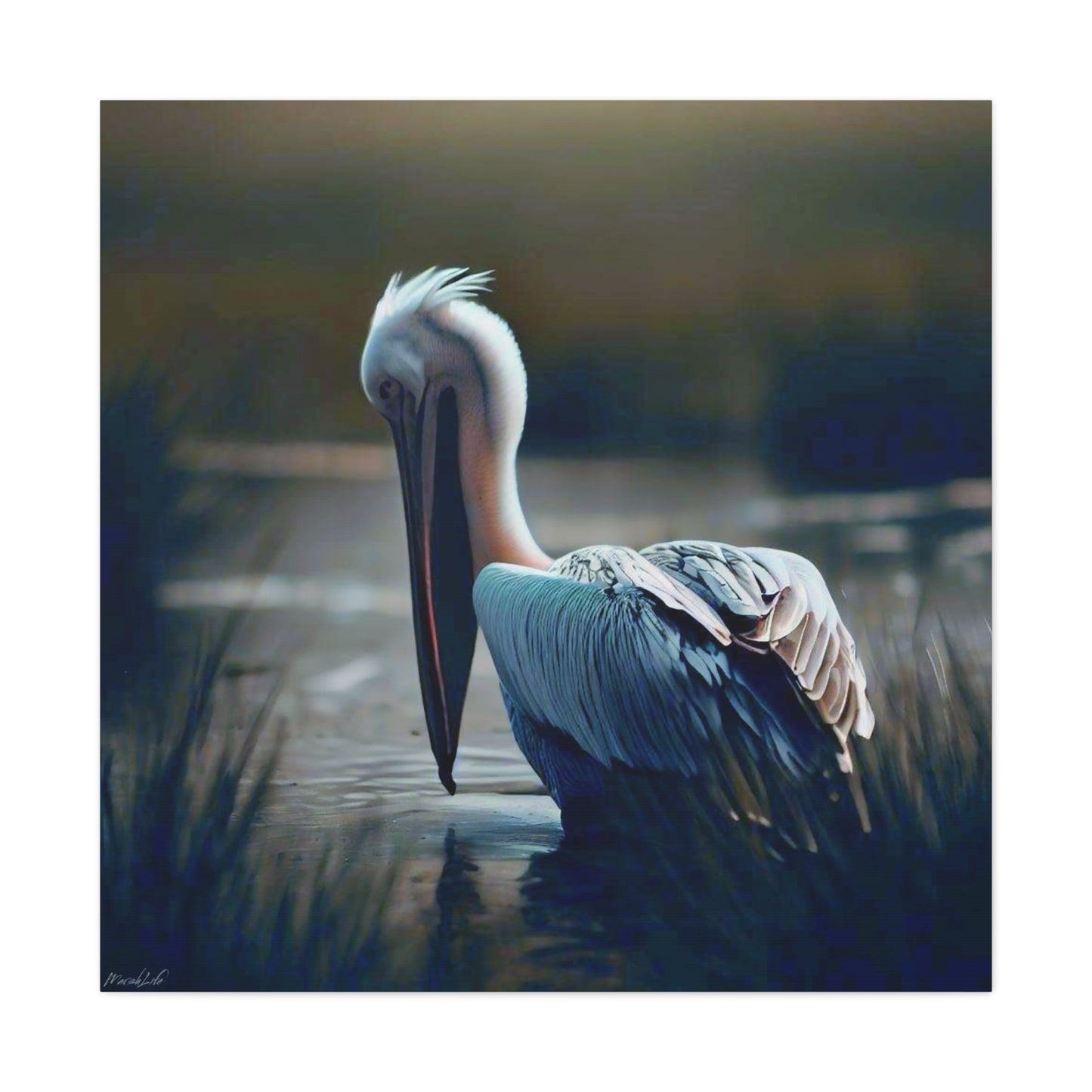 Pelican Dreams - Canvas Gallery Wraps