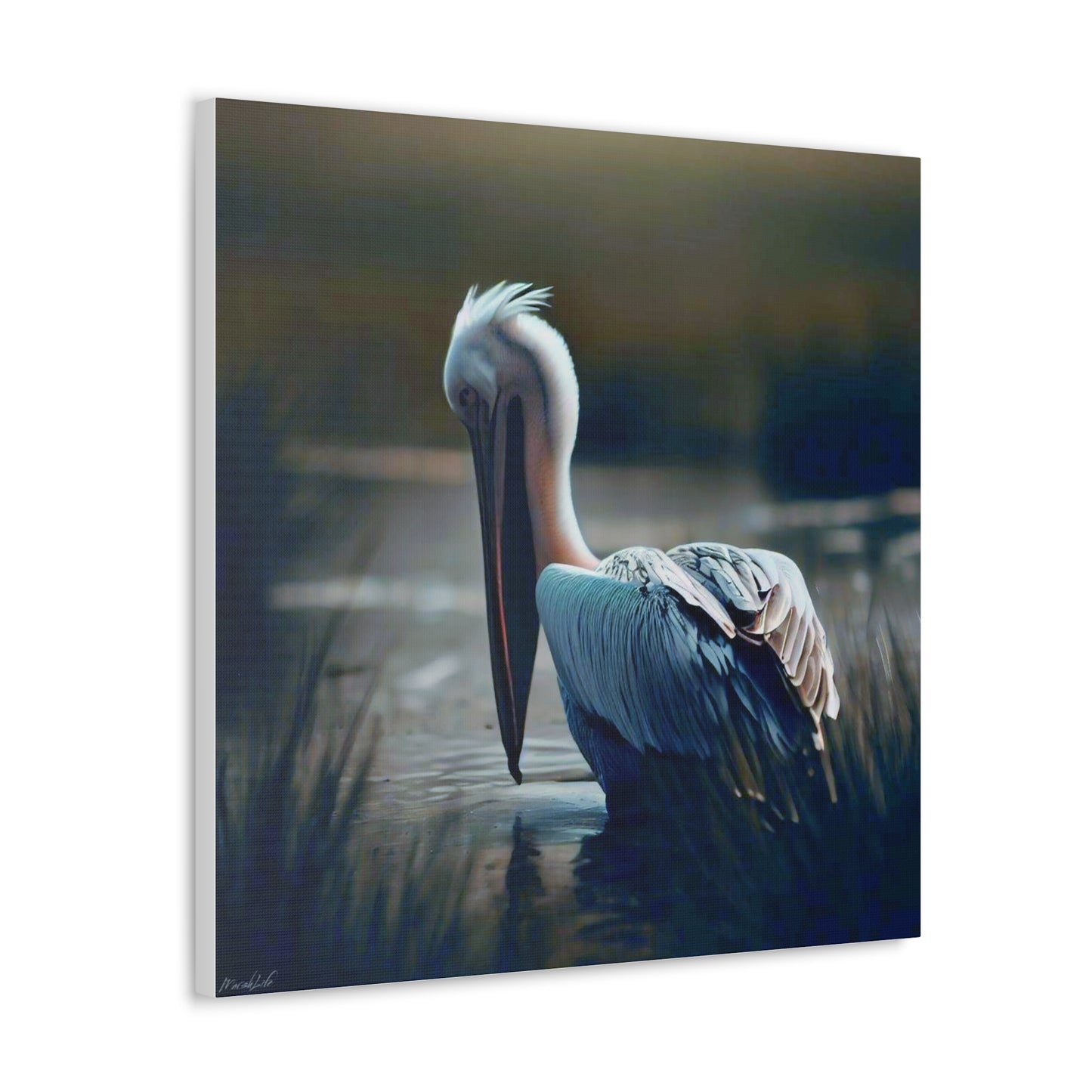 Pelican Dreams - Canvas Gallery Wraps