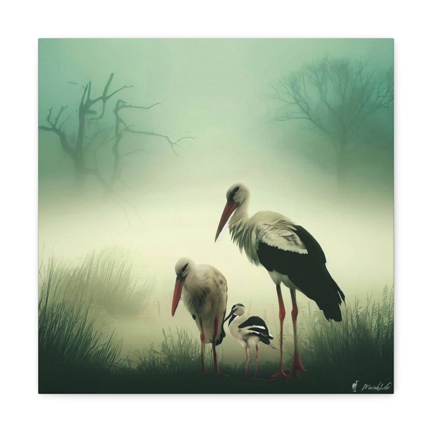 Stork Family - Canvas Gallery Wraps